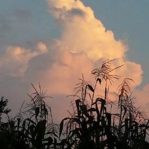 Meet your Posher, Mjc